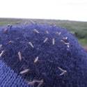 Mosquitos on a hat.
